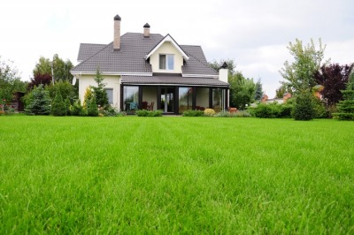 house up on a green grassy hill