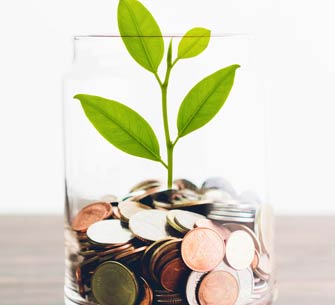 image of a plant with money in a jar